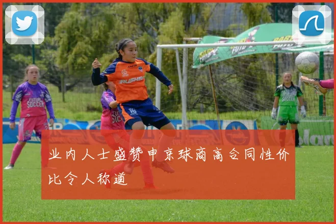 业内人士盛赞申京球商高合同性价比令人称道