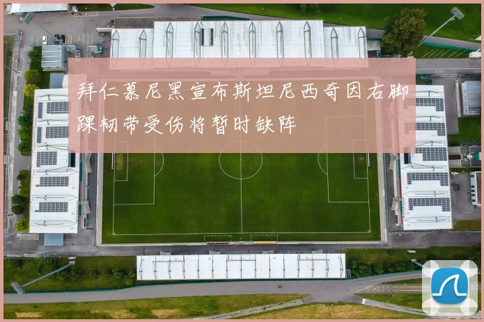 拜仁慕尼黑宣布斯坦尼西奇因右脚踝韧带受伤将暂时缺阵
